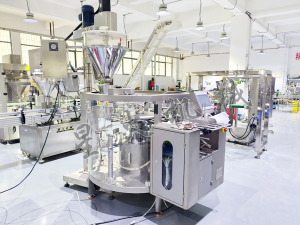 成都給袋式粉劑自動包裝機(jī)實(shí)拍圖