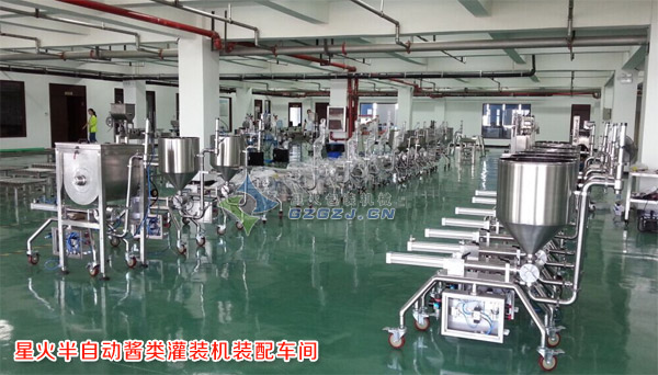 大顆粒醬料灌裝機(jī),豆豉醬灌裝機(jī)