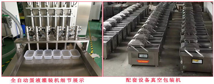 全自動(dòng)蛋液灌裝機(jī),雞蛋干蛋液灌裝成型機(jī)