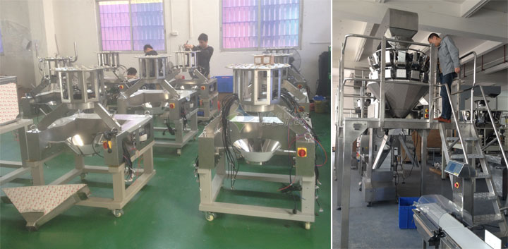 220D組合稱量自動(dòng)食品包裝機(jī)